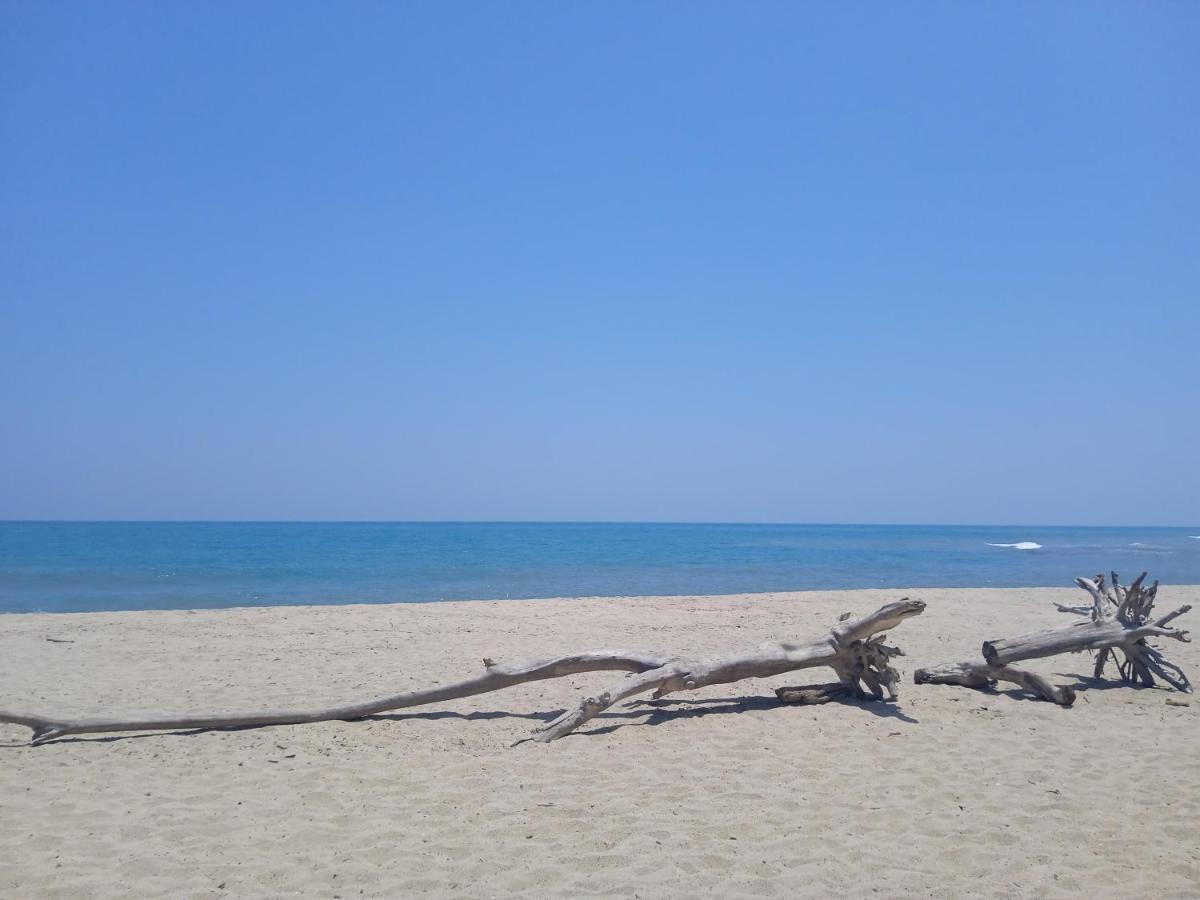 Bob Marley Beach Guachaca 外观 照片